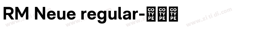 RM Neue regular字体转换
